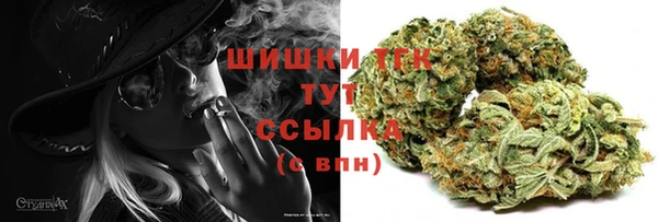 ECSTASY Верея