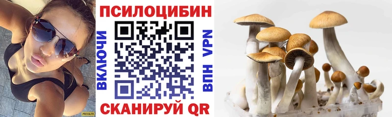 Галлюциногенные грибы мухоморы  Гусь-Хрустальный 