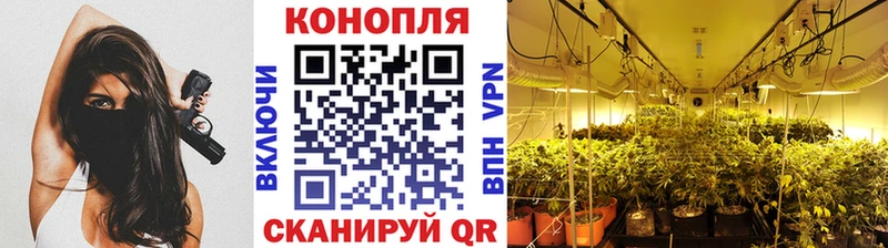 сайты даркнета Telegram  Гусь-Хрустальный  Марихуана AK-47  MEGA маркетплейс 